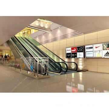 Types de centres commerciaux Vvvf Escalator Residential